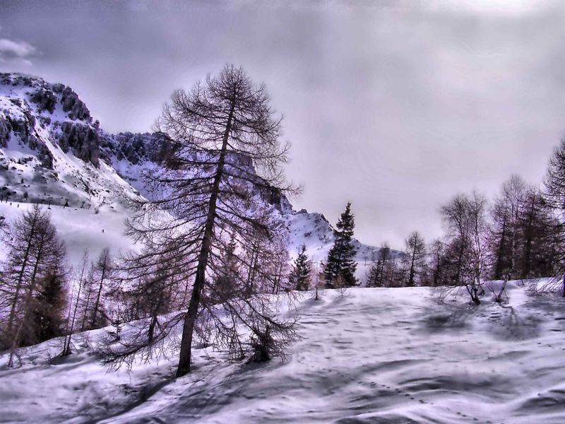 neve primaverile.jpg
